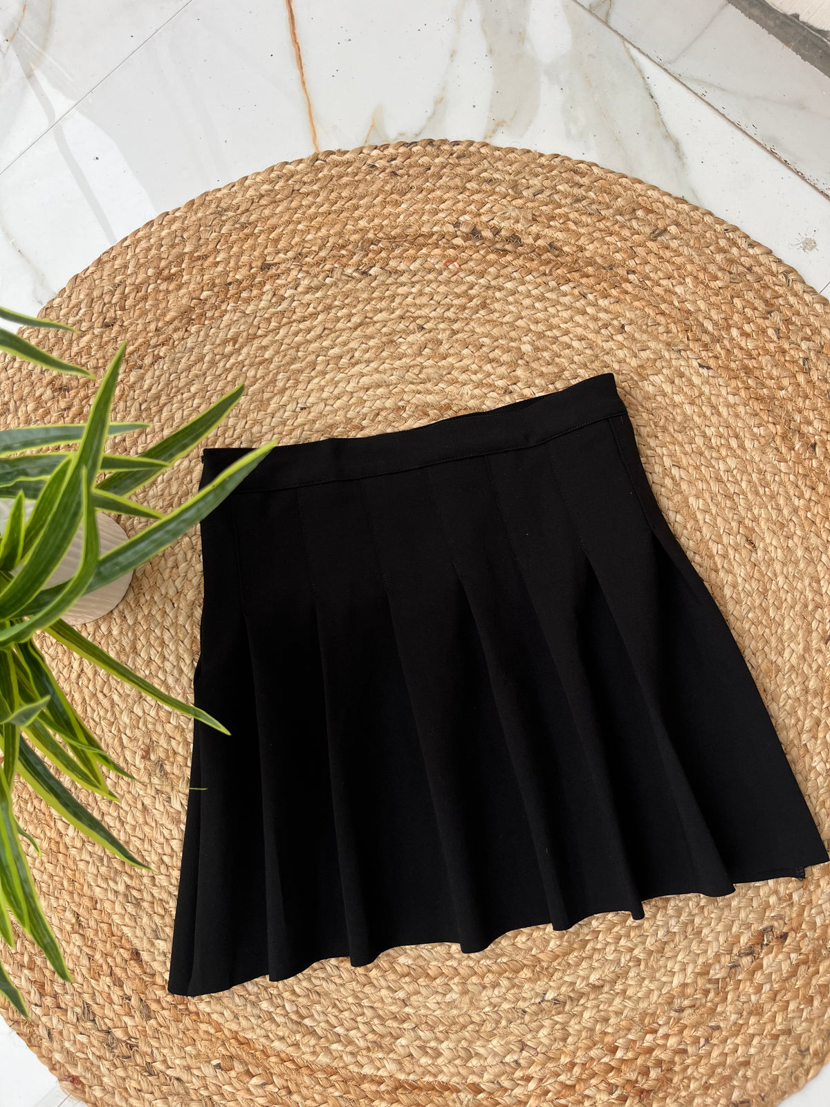 Pleated Skirt