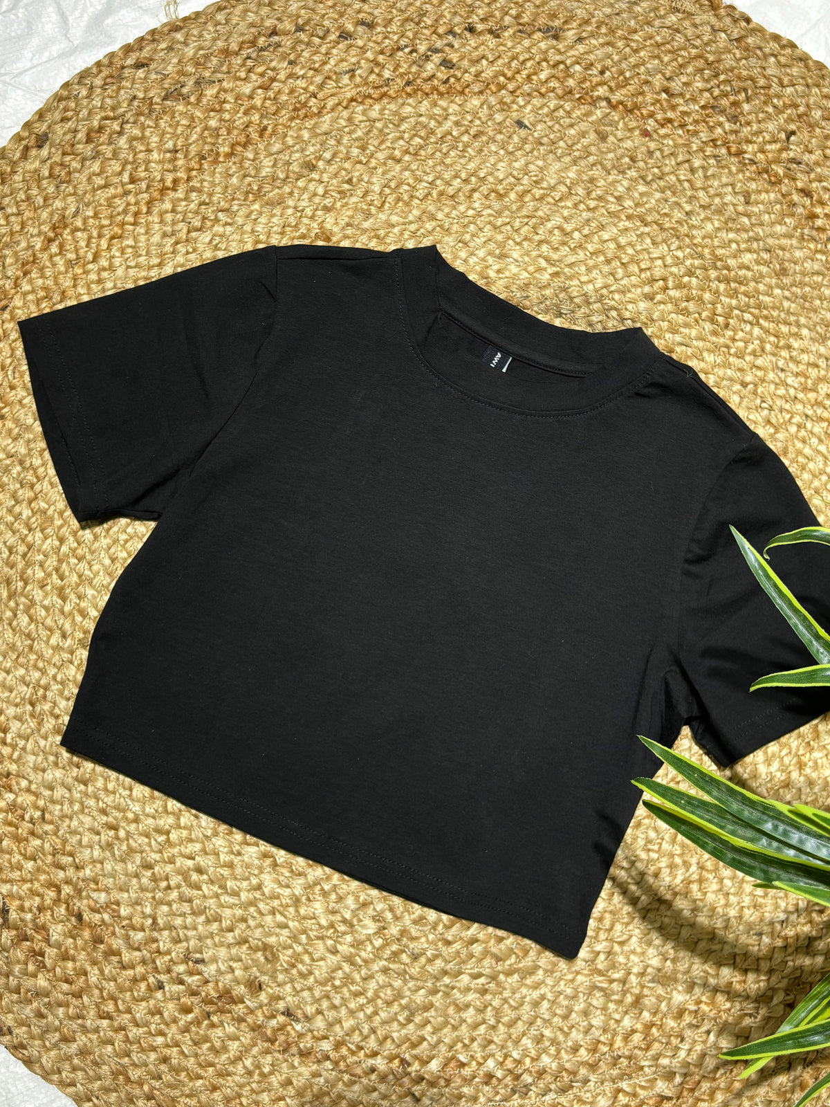 Crop Tshirt